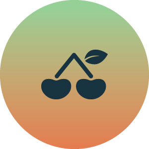 cherrie - LLOG S.A. de C.V. - Pruebas No Destructivas